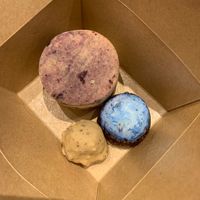   at Wild & The Moon - Ave de Champs Elysées in Paris