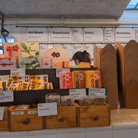  at Wild & The Moon - Ave de Champs Elysées in Paris