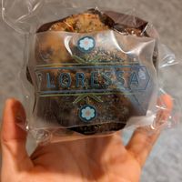 Morning glory muffin! Vegan and gluten free at Rising Star Coffee Roasters - Superior Ave in Cleveland