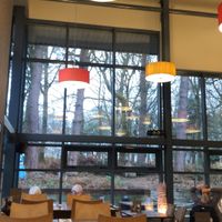 Bright and airy tables well spaced and nice woodland surrounding outside with plenty of outdoor seating   at Forever Green in Mansfield