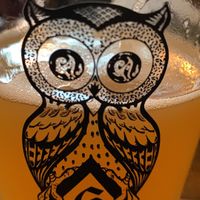 Vegan IPA  #Veganuary at The Owl in Hartlepool