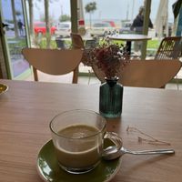   at ECO DEL MAR in Blanes