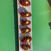   at ECO DEL MAR in Blanes