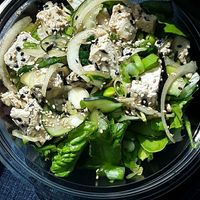 Regular size poke salad - tofu, cucumber, sweet onion, edamame, kale, Hijiki seaweed, cilantro, medium Sweet Shoyu (v) flavor, green onion, and sesame seeds at Pokeworks in Omaha