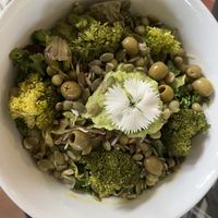   at Varuna Plant-Based Food & Juice Bar in Manuel Antonio