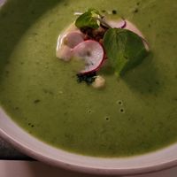  at Labstelle in Vienna