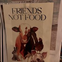   at Raparossa  in Pezze Di Greco