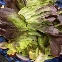 Avocado salad   at Herbivore Japanese Vegetarian Restaurant in Central Singapore