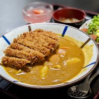 Vegan Katsu Curry at Herbivore Japanese Vegetarian Restaurant in Central Singapore