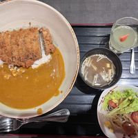 Katsu  at Herbivore Japanese Vegetarian Restaurant in Central Singapore