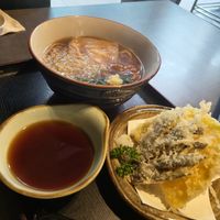 Udon Tempura set at Herbivore Japanese Vegetarian Restaurant in Central Singapore