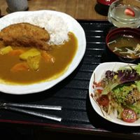 Fish curry at Herbivore Japanese Vegetarian Restaurant in Central Singapore