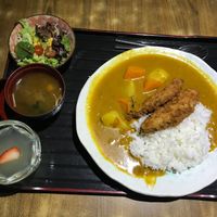 Fish curry at Herbivore Japanese Vegetarian Restaurant in Central Singapore