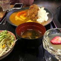 Curry katsu don at Herbivore Japanese Vegetarian Restaurant in Central Singapore