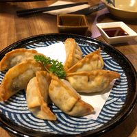 Gyoza at Herbivore Japanese Vegetarian Restaurant in Central Singapore