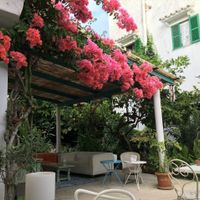 Under the fig trees at Bellaverde in Mallorca