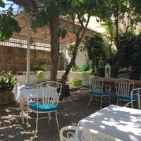 some welcome shade under the fig trees at Bellaverde in Mallorca