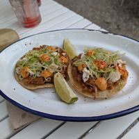 Tacos Jackfruit at Bellaverde in Mallorca