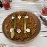 Rice dish and a mushroom cannelloni in background  at Bellaverde in Mallorca