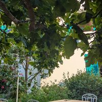  at Bellaverde in Mallorca
