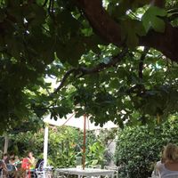 Garden at Bellaverde in Mallorca