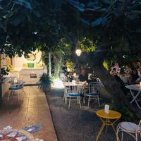 Under the fig trees... at Bellaverde in Mallorca