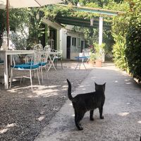 Beautiful garden... at Bellaverde in Mallorca