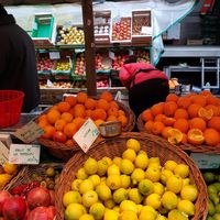 yummy citrus! at Bio Marché in Paris