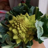 this was a cool new veg that i found! yummy! at Bio Marché in Paris