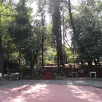 Garten at Lucciola Organic Bistro in Corfu