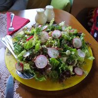 Massive salad at Lucciola Organic Bistro in Corfu