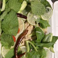   at VEGAN PHUKET in Phuket