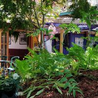  at Cafe Santropol in Montreal