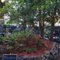 Patio at Cafe Santropol in Montreal