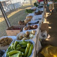 Some of the veggies  at Vieques Farmers' Market  in Vieques