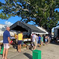 Queue up to pay  at Vieques Farmers' Market  in Vieques