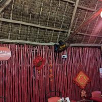 at Nadia's Chinese Corner in Watamu