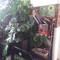  at Green Shoots in Cardiff