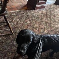   at The Globe in Glossop