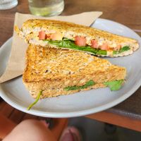 Hummus toatie at Dancing Waters Cafe in Springbrook