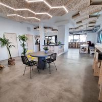 Inside at Koun Coffee in Vienna