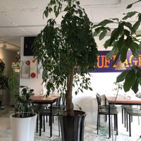 Interior  at Camouflage in Seoul