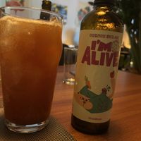 ABC kombucha   at Camouflage in Seoul