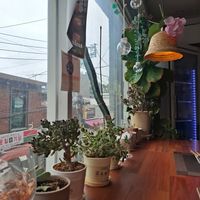  at Camouflage in Seoul