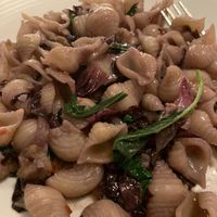 Pasta with radicchio and hazelnuts  at Pastaio in London