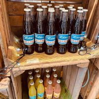   at Stoemp Deluxe in Hasselt