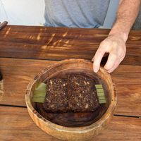   at Burrito Amor in Valladolid