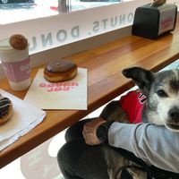 Cookies and cream, bavarian cream, and a soy latte (+ a happy dog) at Dough Joy - East Pike Street in Seattle