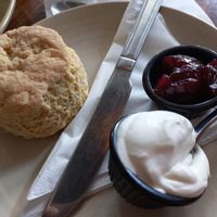 Scone with vegan cream and jam at T @ Hove in Hove