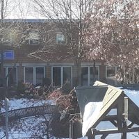 High Thai, right downtown at High Thai in Brattleboro